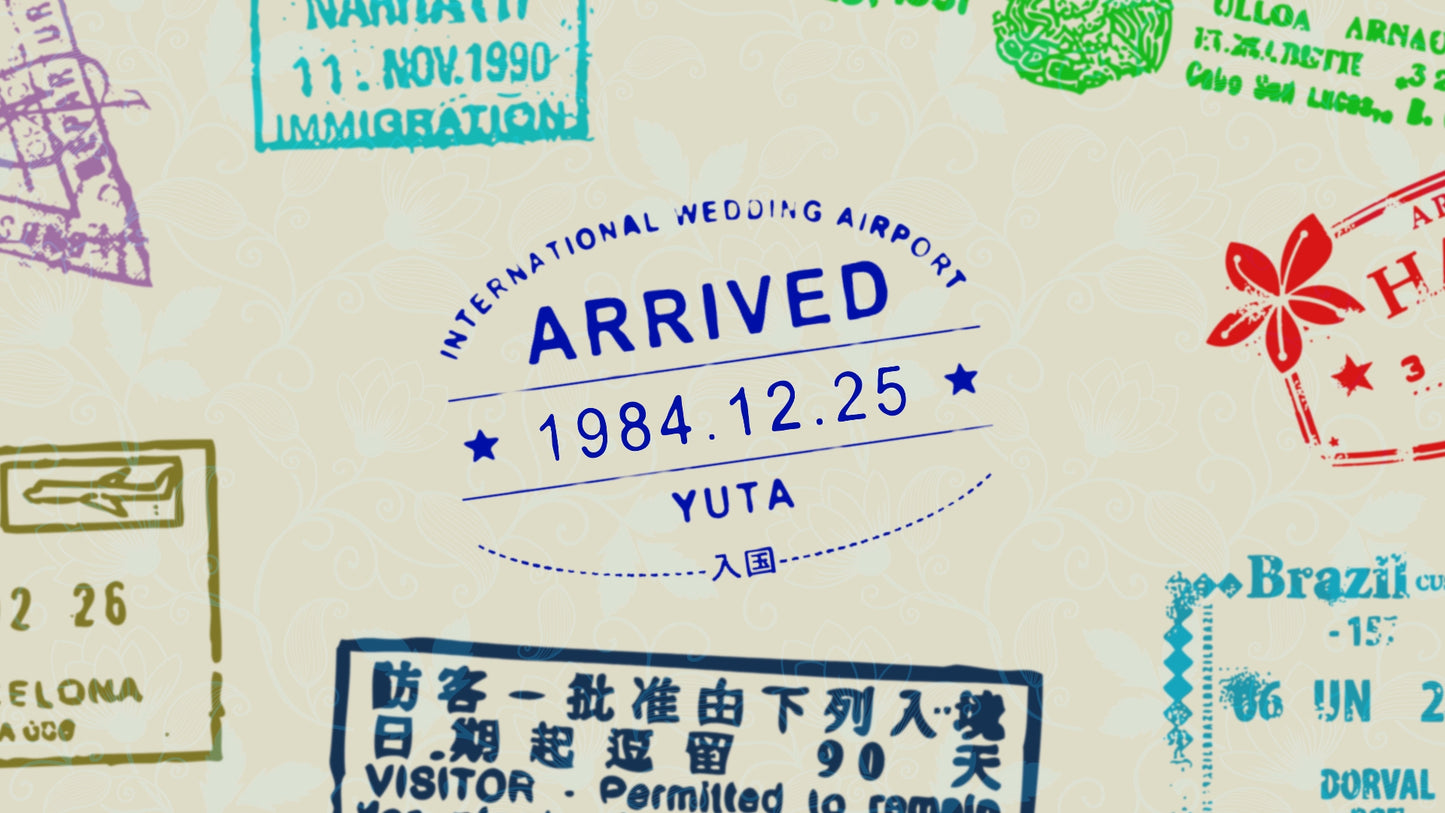 飛行機プロフィール