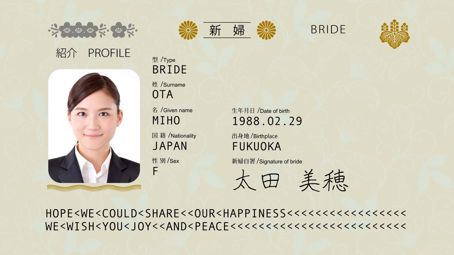 飛行機プロフィール