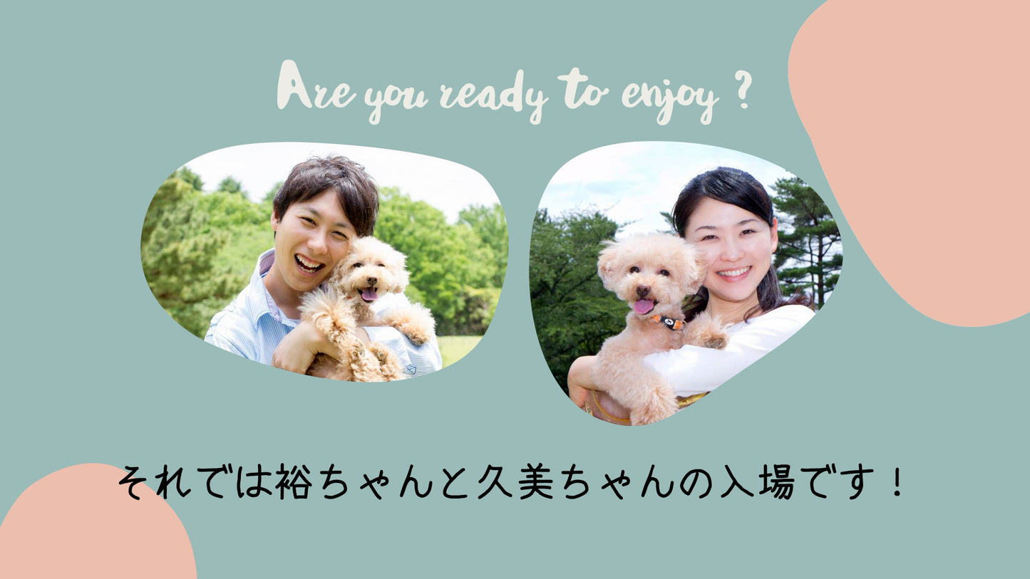 愛犬わんこオープニング