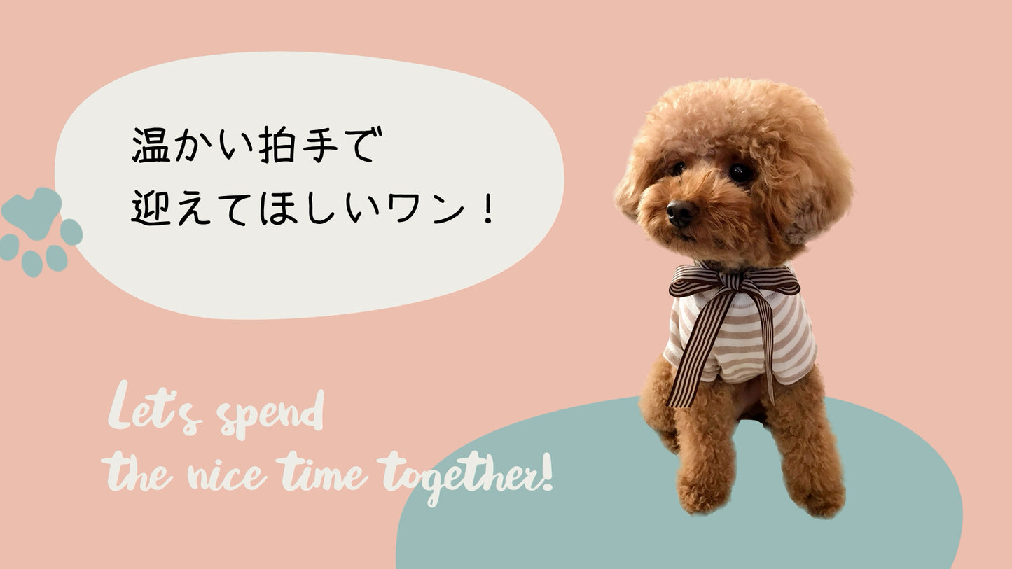 愛犬わんこオープニング