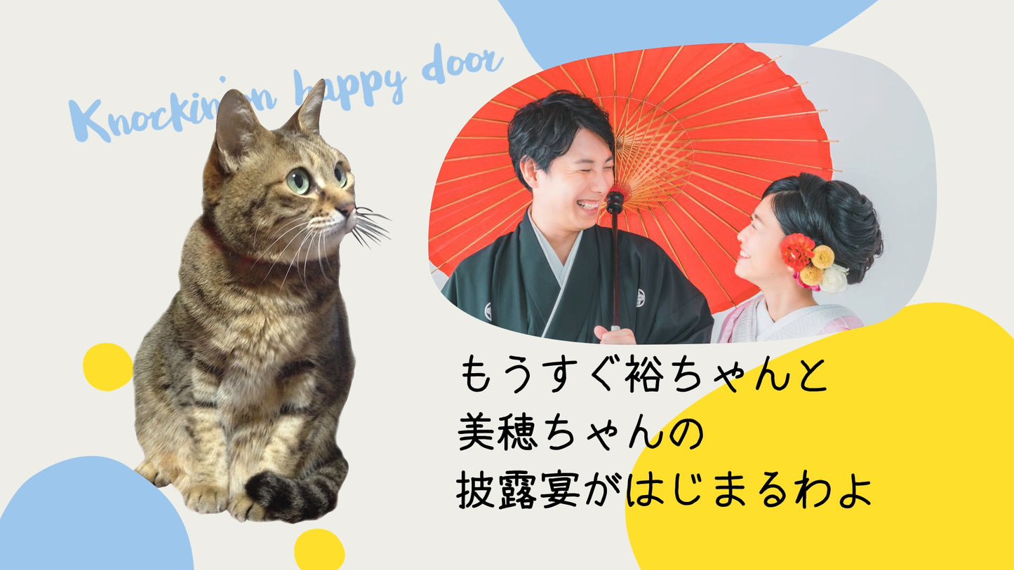 にゃんこオープニング