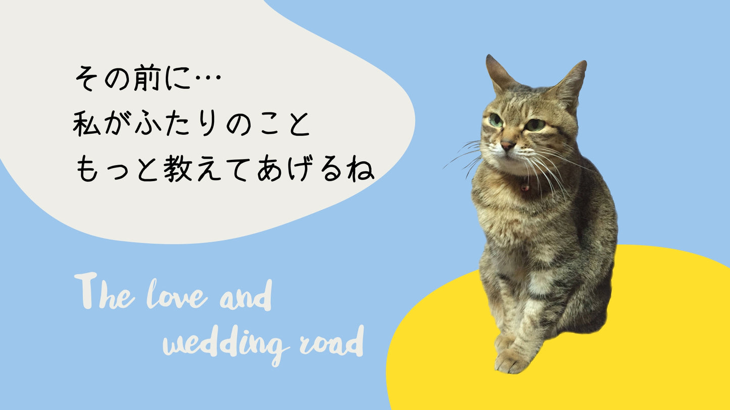 にゃんこオープニング