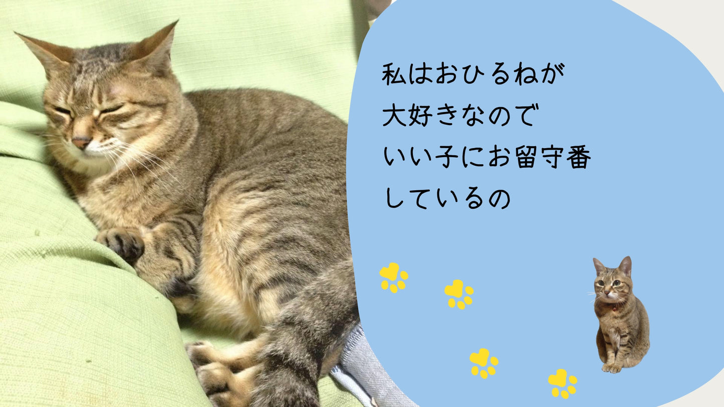 にゃんこオープニング