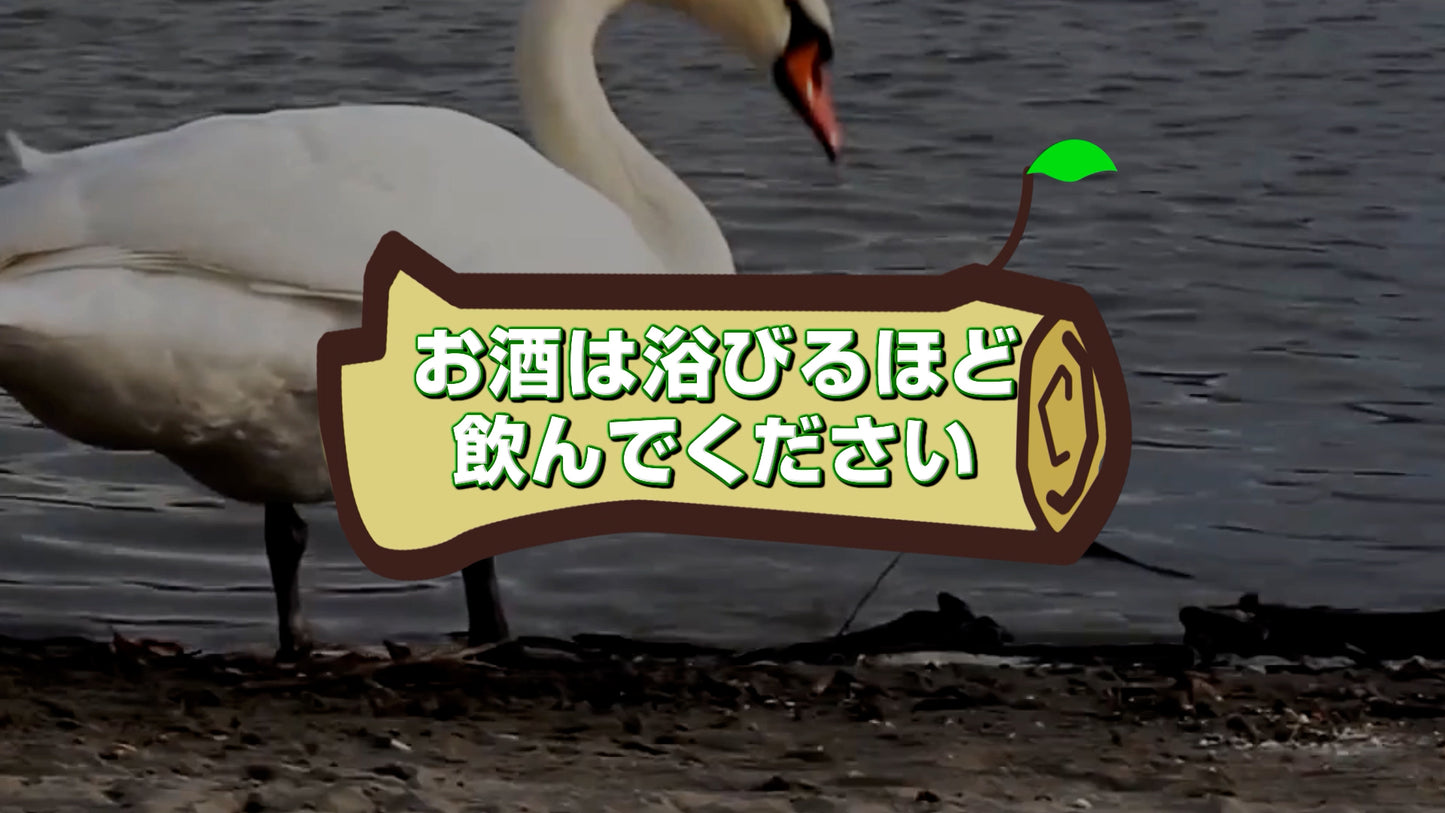 アニマル達からの開宴前のお願い