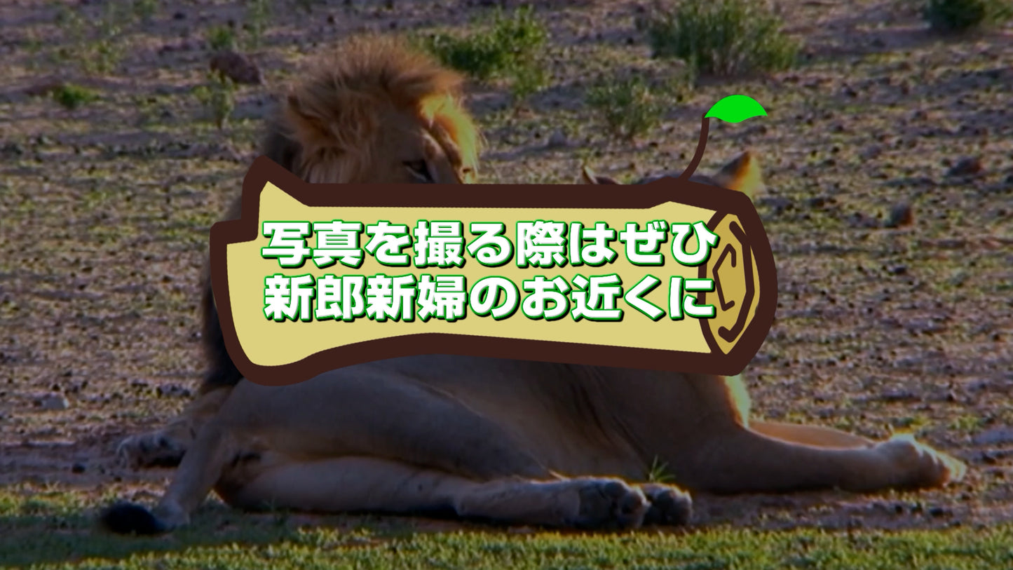 アニマル達からの開宴前のお願い