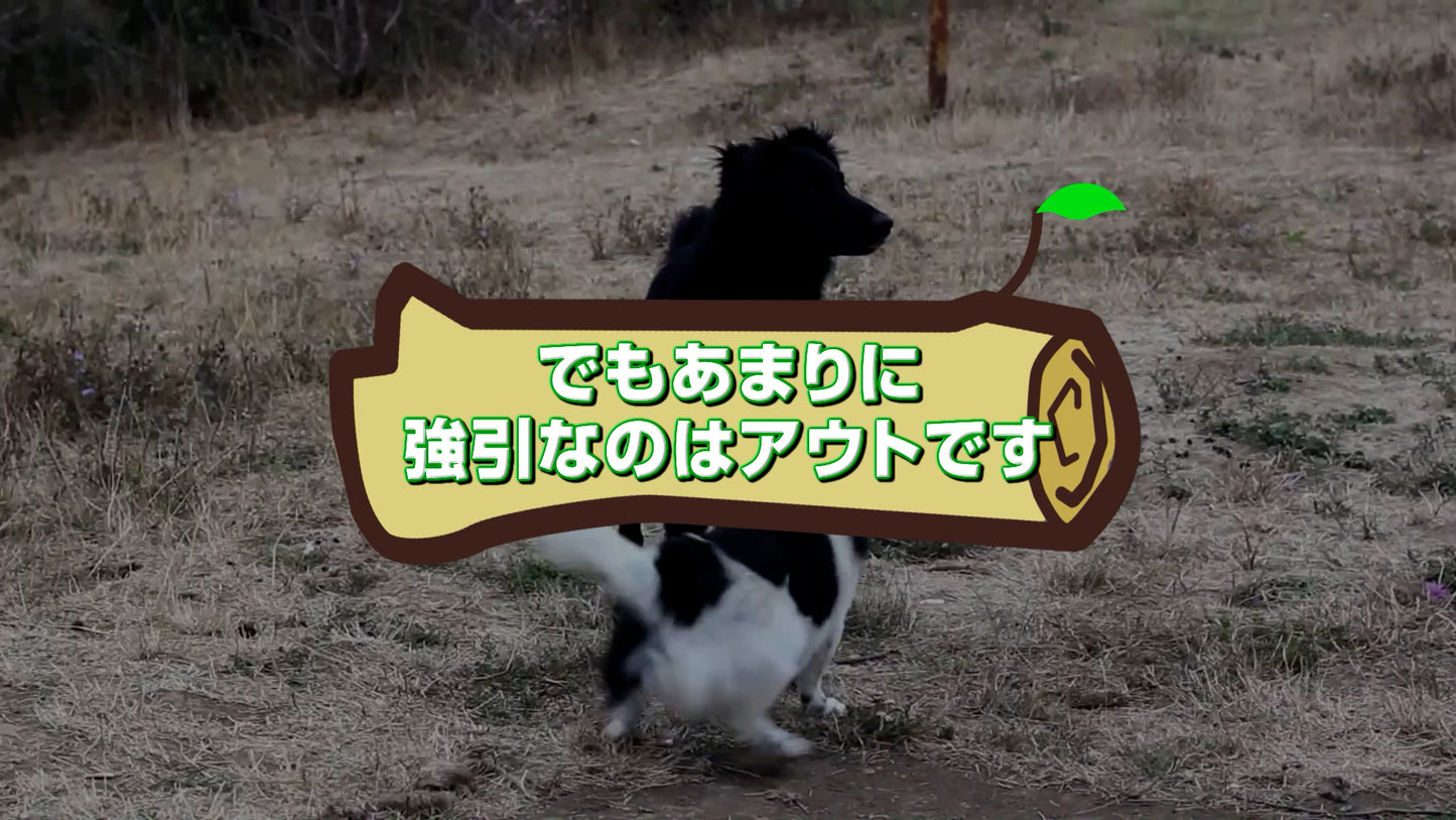 アニマル達からの開宴前のお願い