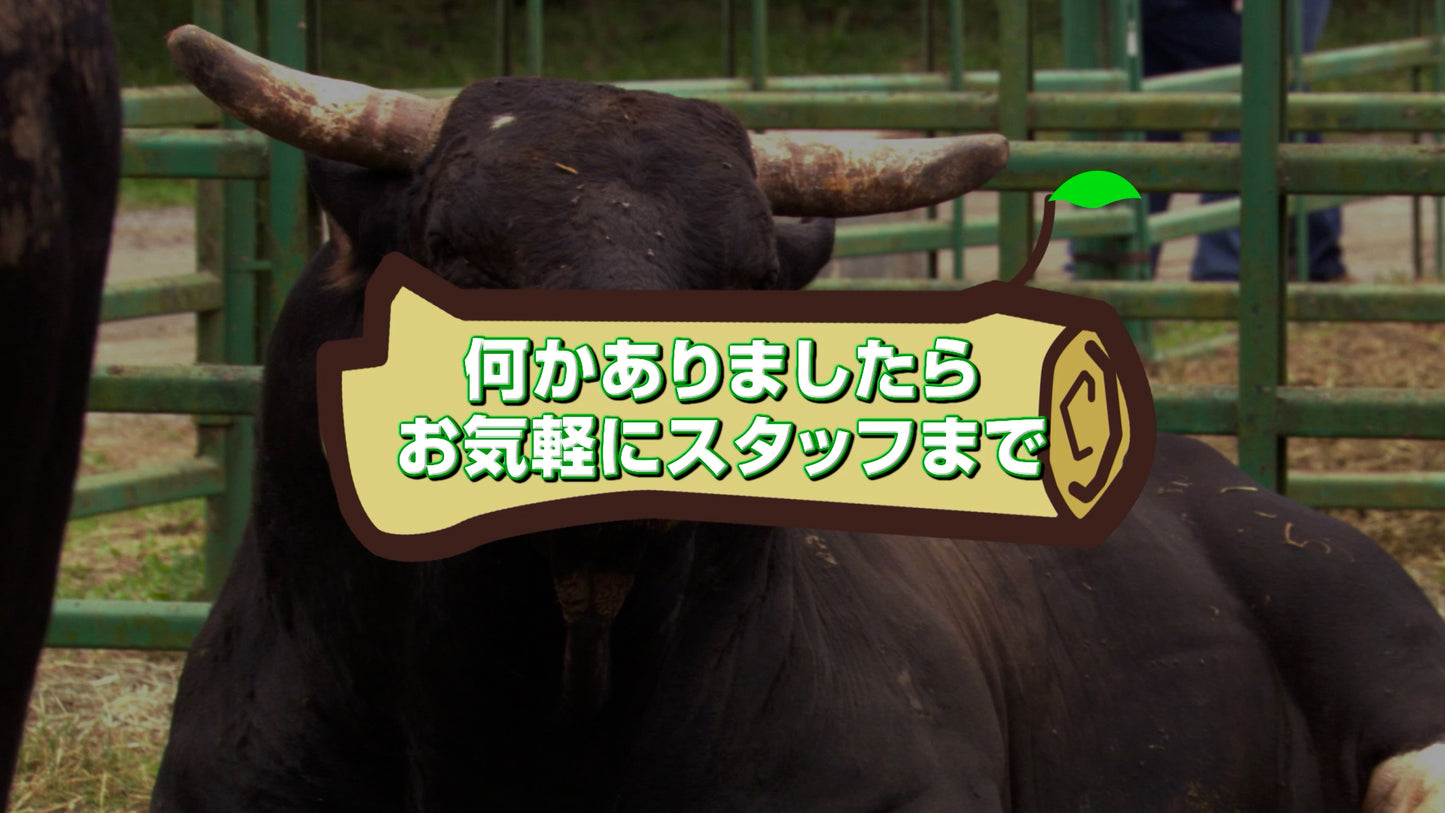 アニマル達からの開宴前のお願い