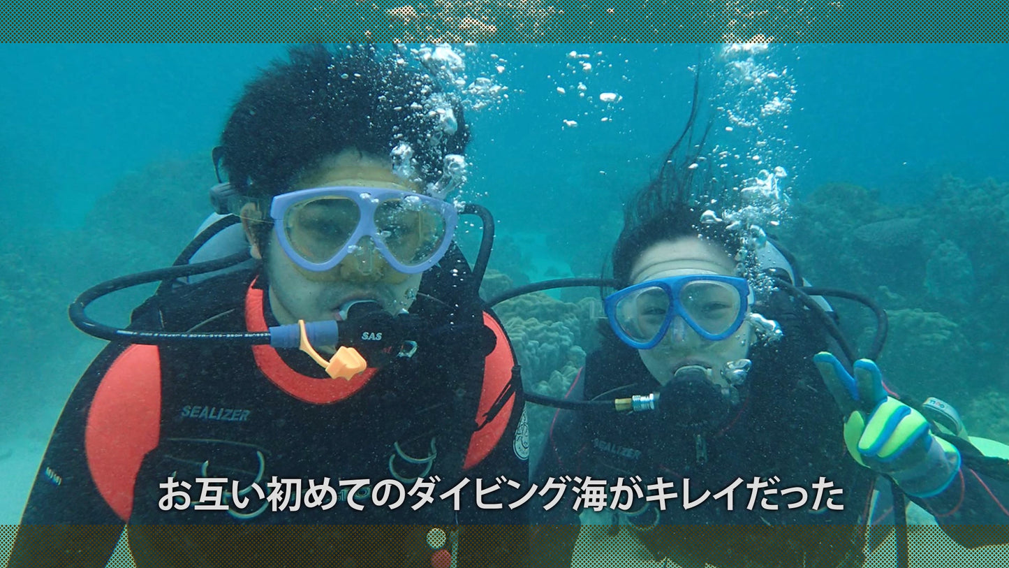 ルシドプロフィール