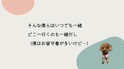 愛犬わんこオープニング
