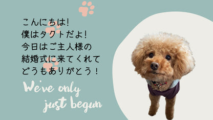 愛犬わんこオープニング