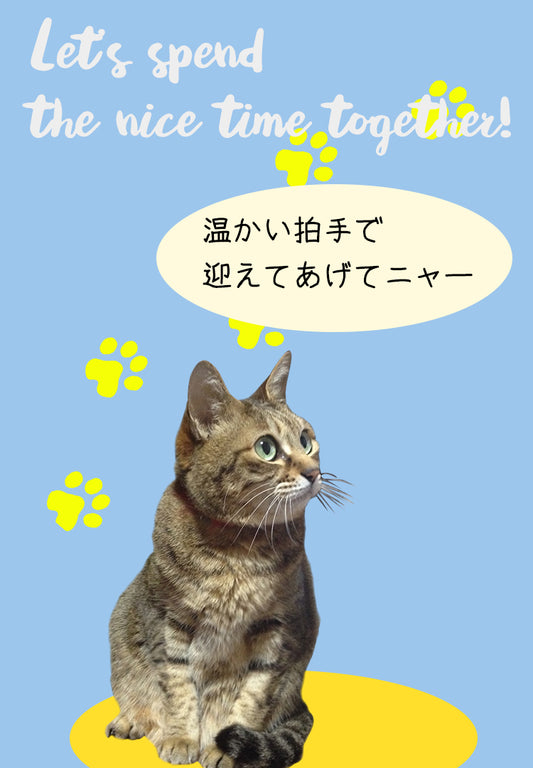 にゃんこオープニング